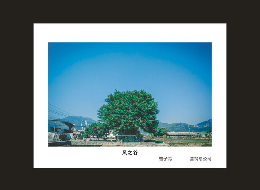 完美智能成立16周年司庆活动“魅力完美”摄影比赛优秀作品展