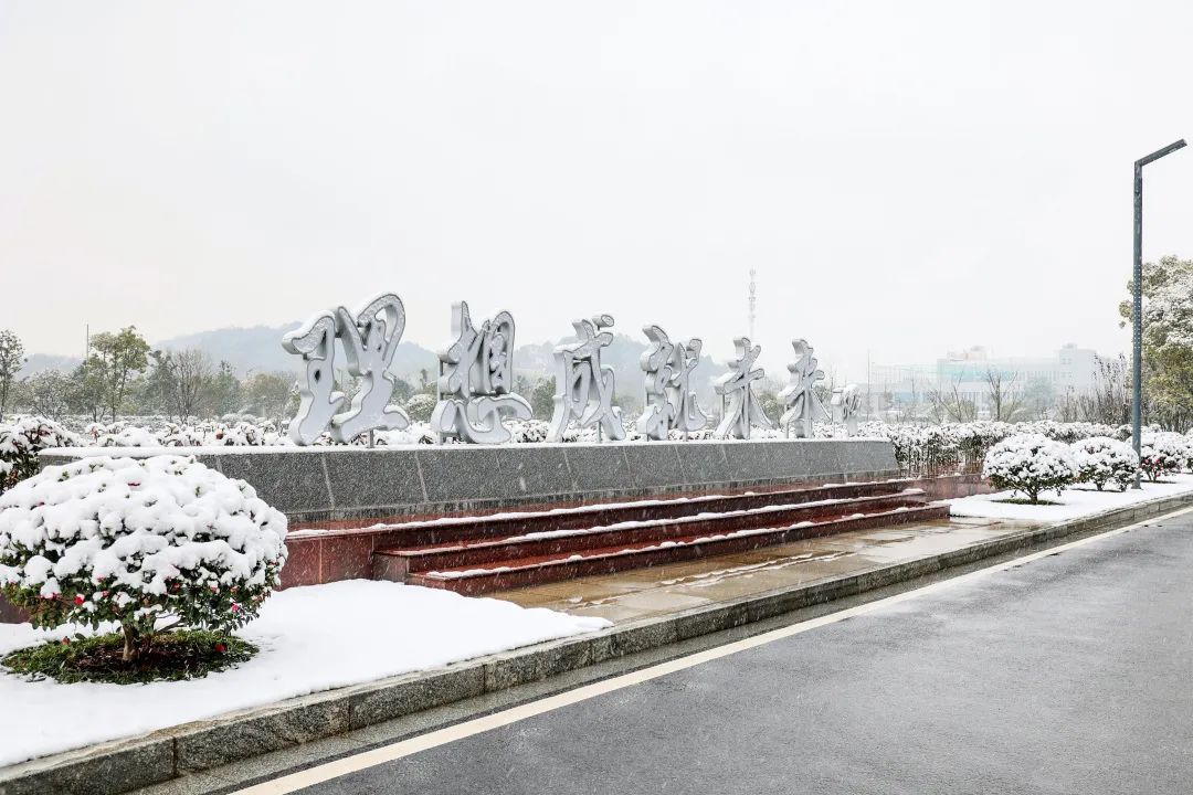 瑞雪兆丰年，邀您共赏雪中完美！